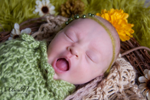 Load image into Gallery viewer, Sage Newborn Swaddle Sack

